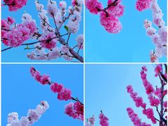 -洛龙公园