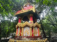 -瑞丽独树成林风景区