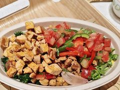 -油梨树 AVOCADO TREE(亮马桥店)