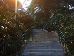 -中山公园(石岐街道)