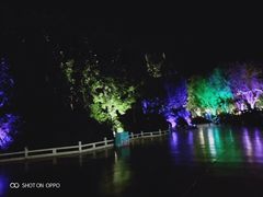 -济南方特东方神画