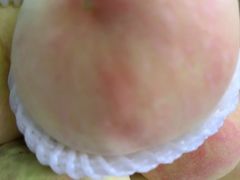 -南汇新场正宗水蜜桃采摘