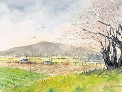 -八哥美术·成人美术画室(总校区)