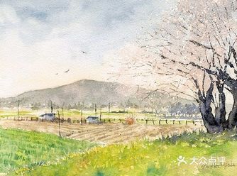 他清新淡雅的水彩，缺用唯美的画面画出四季的颜色
