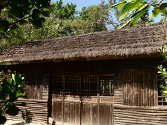 -沂蒙山旅游区云蒙景区(蒙山国家森林公园)