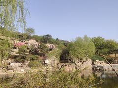 -北京西山国家森林公园