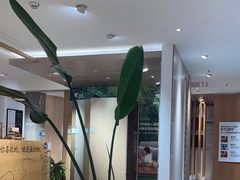 -圣象地板(红星美凯龙真北店南北馆店)