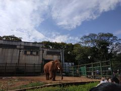 -昆明动物园
