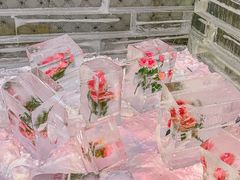 -苏州湾梦幻水世界