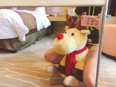 -扬州皇冠假日酒店