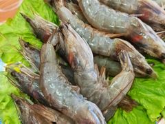 -清真·马家火锅美食城(镇江北路店)