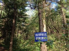 -萨尔浒风景区