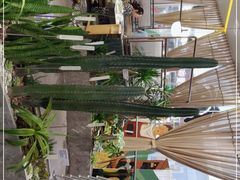 -润园四季椰子鸡火锅(南山海岸城店)