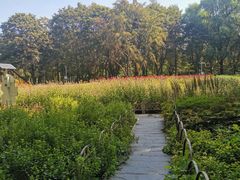 -黑龙江省森林植物园