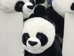 -山姆会员商店(杨桥西路店)