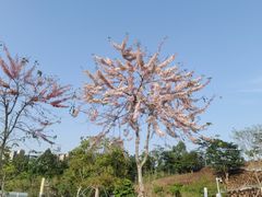 -白石龙音乐公园