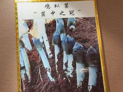 -菌之家·专业纯野生菌火锅·特色炒菌