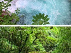 -西岭雪山大飞水景区