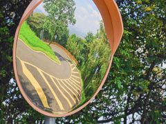 -黄埔油麻山森林公园