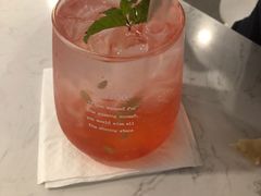 -飞行喵MR PILOT|猫舍·猫咖(静安大融城店)