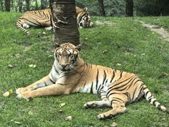 -北京野生动物园