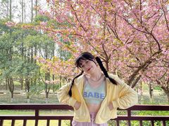 -祥源·阜阳生态乐园