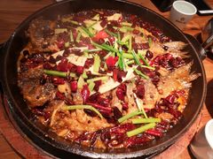 -老板恋上鱼(环山路店)