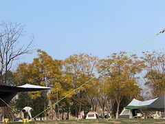 -桂溪生态公园