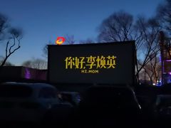 -枫花园汽车电影院(朝阳公园店)