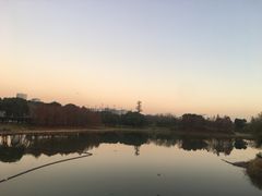 -尚贤河湿地