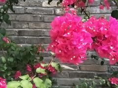 -鹿其林酒家(大学城店)
