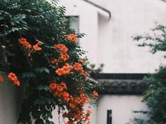 -盘门景区