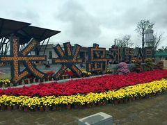 -上海长兴岛郊野公园