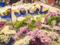 门面-三圣花乡旅游区