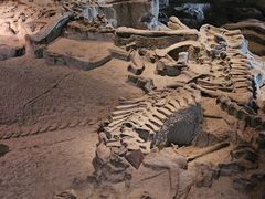 -自贡恐龙博物馆