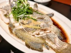 -鑫悦楼煎蟹·16年海鲜大排档
