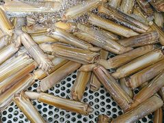 -77号渔船·蒸海鲜青岛菜(积米崖店)