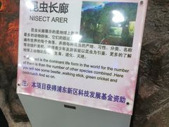 -上海大自然野生昆虫馆(东方明珠·爬宠昆虫探索中心)