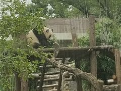 -武汉动物园