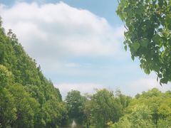 景点-上海长兴岛郊野公园