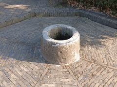 -上海佘山国家森林公园天马山园