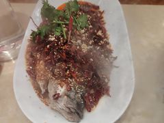 -杨氏青龙虾·羊蝎子(珠江路店)