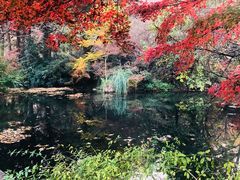 -西湖外事游船(花港观鱼码头)