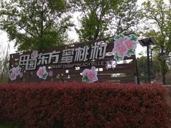 -田园东方蜜桃村的田野营地