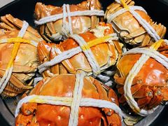 -黄记大闸蟹专卖店·活蟹·醉蟹
