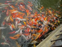 -华南国家植物园-售票处