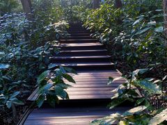 -杭州植物园