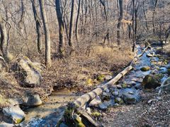 -玉渡山自然风景区