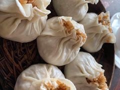 松子烧卖-花园茶楼(兴城西路店)