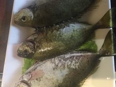 -阿锋鲍鱼酒家美食汇(华安店)